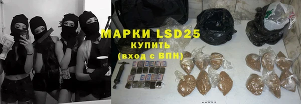 шишки Арсеньев