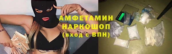 шишки Арсеньев