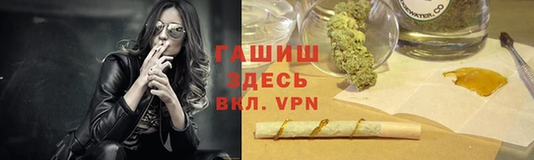 шишки Арсеньев