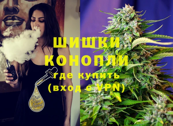 шишки Арсеньев