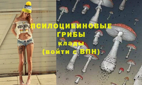 скорость Россошь