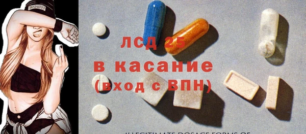 шишки Арсеньев