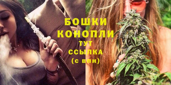 шишки Арсеньев